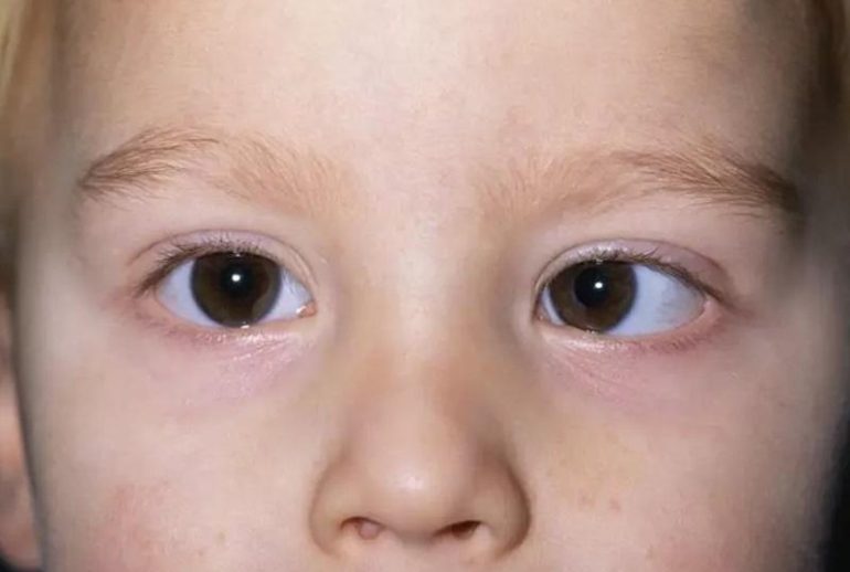 1734370454.572309_116609_image