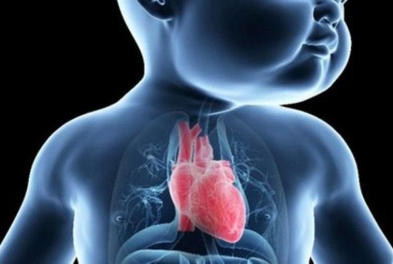 1734370499.738335_614049_image